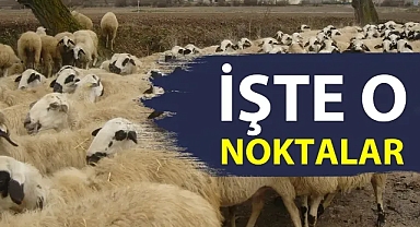 Haliliye’de kurban kesim yerleri belli oldu!