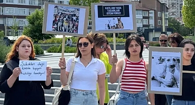 HayFed, Şanlıurfa’daki yöneticiler hakkında suç duyurusunda bulunacak!