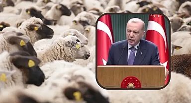 Kurban Bayramı tatili kaç gün olacak?