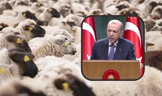 Kurban Bayramı tatili kaç gün olacak?
