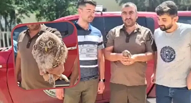 Ölmek üzereyken vatandaşlar buldu!