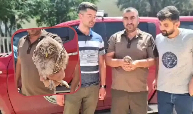 Ölmek üzereyken vatandaşlar buldu!