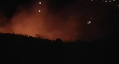 Şanlıurfa’da ağaçlık alanda yangın!