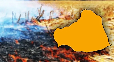 Şanlıurfa’da anız yakanlara büyük cezalar geliyor!