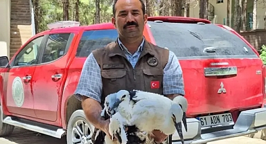 Şanlıurfa’da bitkin halde bulundular! Tedavi altına alındılar!