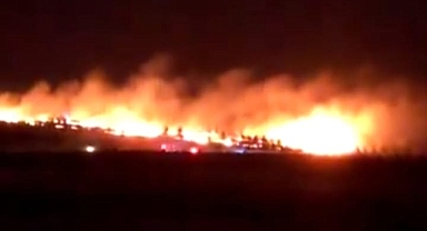 Şanlıurfa'da geceyi gündüze çeviren yangın!