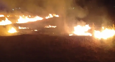 Şanlıurfa’da ormanlık alanda yangın çıktı! Herkes seferber oldu!