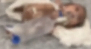 Şanlıurfa’da vahim iddia! Havale geçiren bebek hayatını kaybetti!