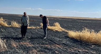 Şanlıurfa’daki çiftçinin emeği kül oldu!