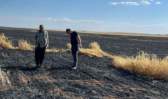 Şanlıurfa’daki çiftçinin emeği kül oldu!