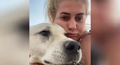 Şanlıurfa’dan köpekleri kaçırmıştı! İstenen ceza belli oldu!