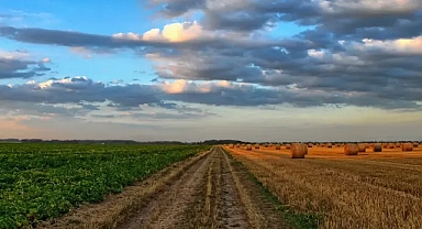 Şanlıurfa için korkutan açıklama: Giderek azalıyor!