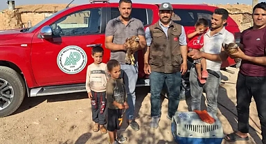 Sıcak onları da vurdu! Urfa'da bulundular
