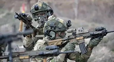 Türkiye'nin güneyinde iki operasyon!