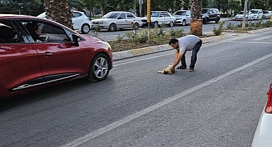 Urfa'da aracıyla çarpıp ardından olay yerinden kaçtı!