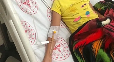 Urfa'da başıboş sokak köpekleri kız çocuğuna saldırdı!