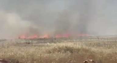 Urfa'da bir yangın daha!
