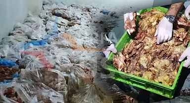 Urfa’da mide bulandıran görüntü!
