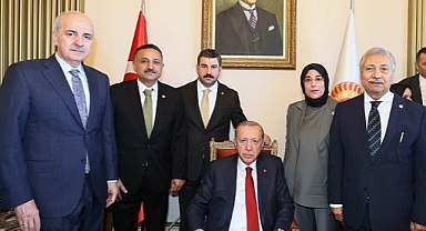 Urfa'daki elektrik kesintileri sorunu Cumhurbaşkanı Erdoğan'a iletildi!