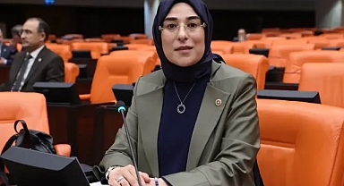Yazmacı, TBMM 'de Tarımın stratejik önemine dikkat çekti