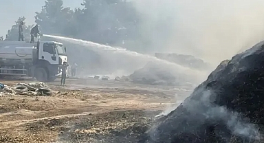 Alevlere teslim oldu! Şanlıurfa'da yine yangın!