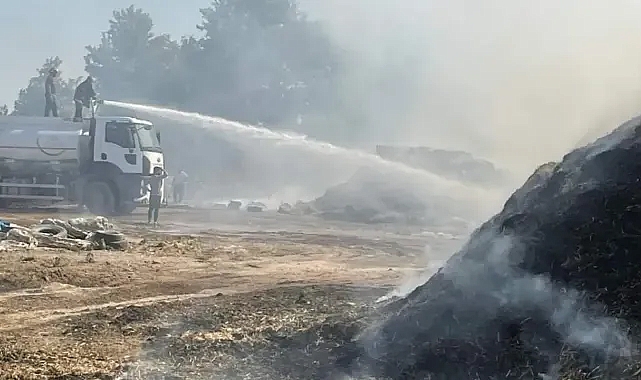Alevlere teslim oldu! Şanlıurfa'da yine yangın!