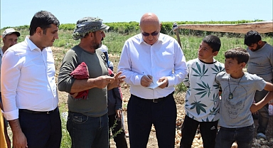 Chp’li Tanal, Mevsimlik Tarım İşçilerinin Güvenli Ulaşımı İçin Kanun Teklifi Hazırladı