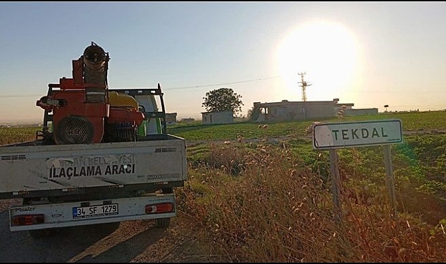 Haşere İle Mücadele Devam Ediyor