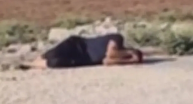 Şanlıurfa’da bir genç baygın halde bulundu!