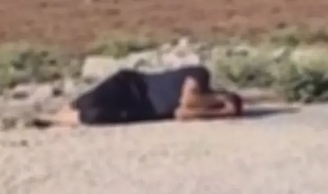 Şanlıurfa’da bir genç baygın halde bulundu!