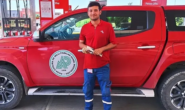 Şanlıurfa'da bulundu! Ekipler teslim aldı
