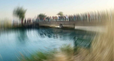 Şanlıurfa'da ölümler artıyor! Açıklama geldi