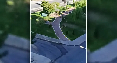 Şanlıurfa'da vatandaşları tedirgin eden görüntü!