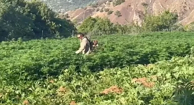 Şaşırtan görüntü: 16 ilde ekipler harekete geçti!