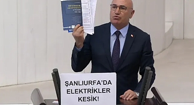 Tanal, Şanlıurfa’da artan boğulmaları Meclis’e taşıdı!