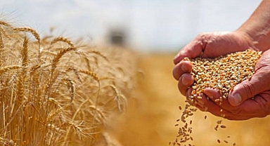 TZOB Başkanı Bayraktar: Arpa ve buğday fiyatları revize edilmeli!
