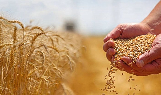 TZOB Başkanı Bayraktar: Arpa ve buğday fiyatları revize edilmeli!