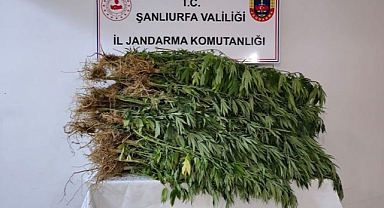 Urfa'da bir evin bahçesinde ele geçirilenler şoke etti!