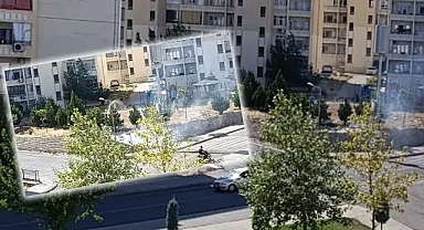 Urfa'da Bu Kez Çalılık Alan Yandı!