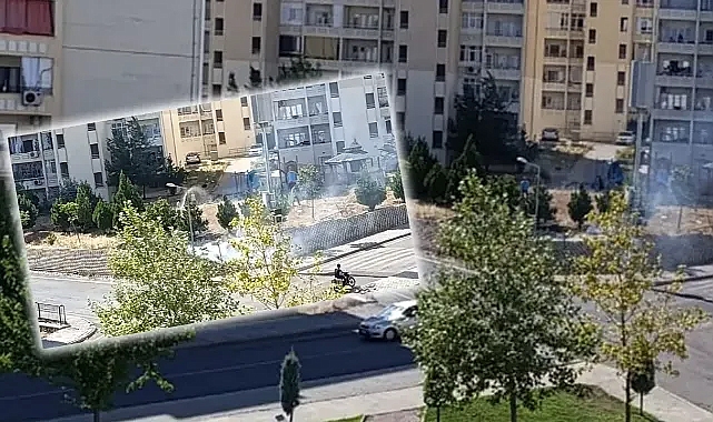 Urfa'da Bu Kez Çalılık Alan Yandı!