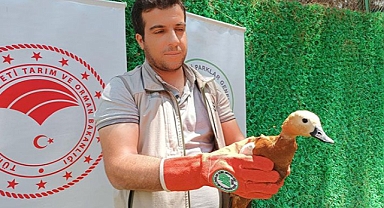 Urfa'da emniyet personeli tarafından bitkin halde buldu! Tedaviye alındı!
