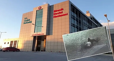 Urfa’da husumetlisini bıçaklamıştı! Cinayet zanlısı tutuklandı!