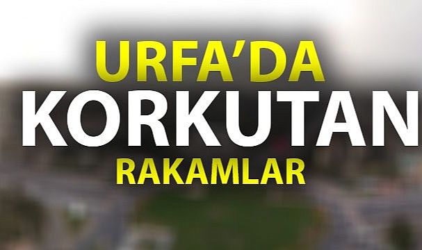 Urfa'da korkutan rakamlar!