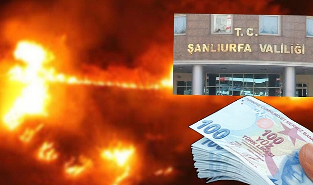 Urfa'daki anız yangınlarıyla ilgili flaş açıklama! 206 şahsa ceza yağdı!