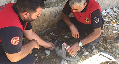 Urfa'daki evin bodrum katında korkutan yangın!