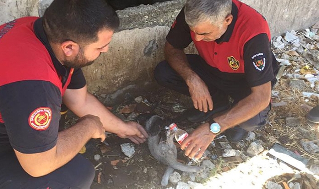 Urfa'daki evin bodrum katında korkutan yangın!