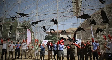 Urfa'nın ilçesinde kelaynaklar doğaya salındı