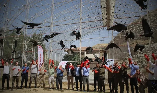 Urfa'nın ilçesinde kelaynaklar doğaya salındı