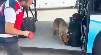 Urfa'ya girişte yakayı ele verdi!