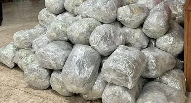 Şanlıurfa'da bir araçtan çıkanlar şoke etti